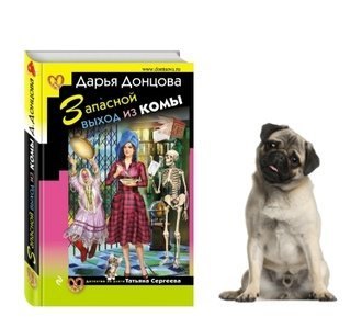 Запасной выход из комы