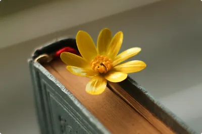 Увидимся следующим летом: 7 книг с атмосферой ностальгии