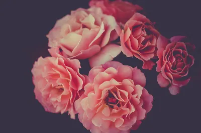 20 книг в жанре романтическое фэнтези