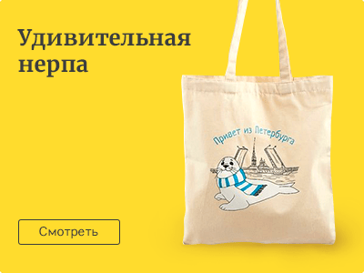 Удивительная нерпа