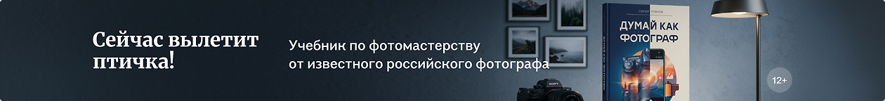 изображение Сейчас вылетит птичка!