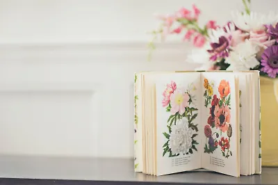 Главные книги марта 2023