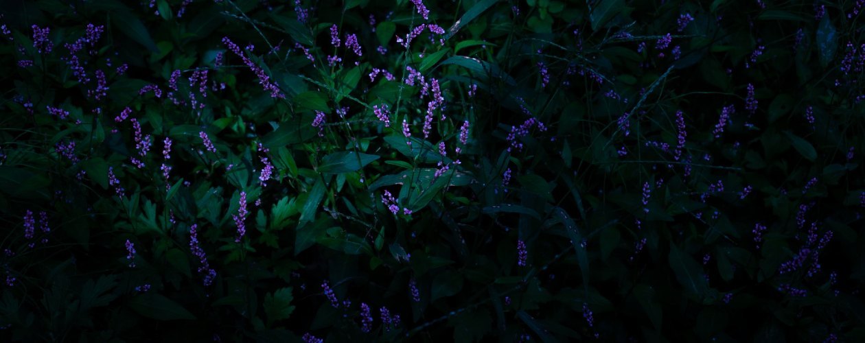 Недобрые сказки: захватывающие миры тёмного фэнтези