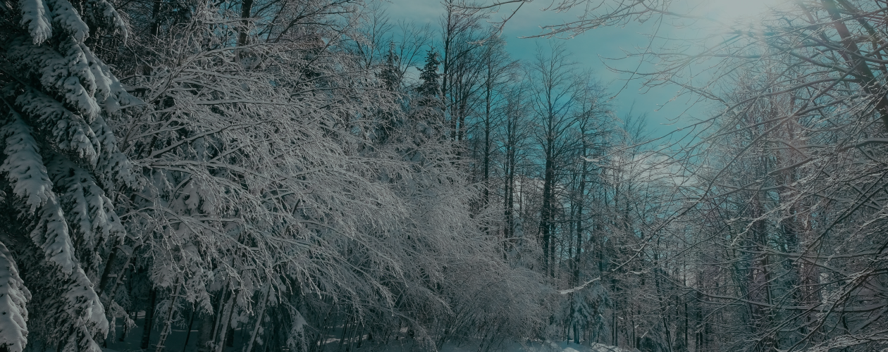 «Русская зима»