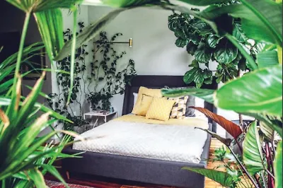 Мой дом – мои джунгли