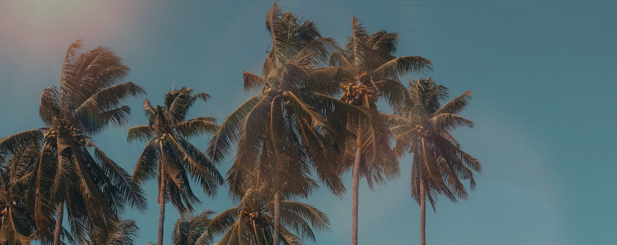 Книжный маст-хэв: 7 летних книг, которые стоит прочитать каждому