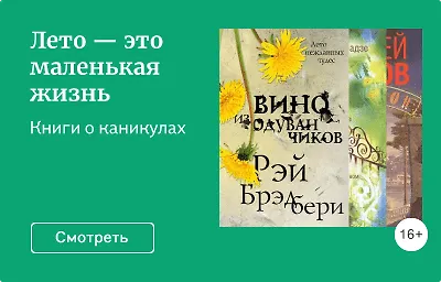 Лето — это маленькая жизнь
