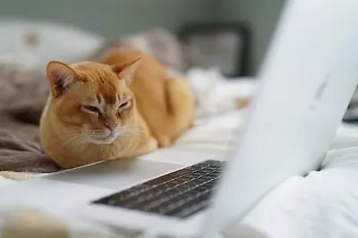 5 современных российских сериалов по книгам