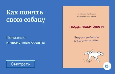 Трудности перевода: как понять свою собаку