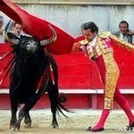 В Испании ради литературы запрещают корриду