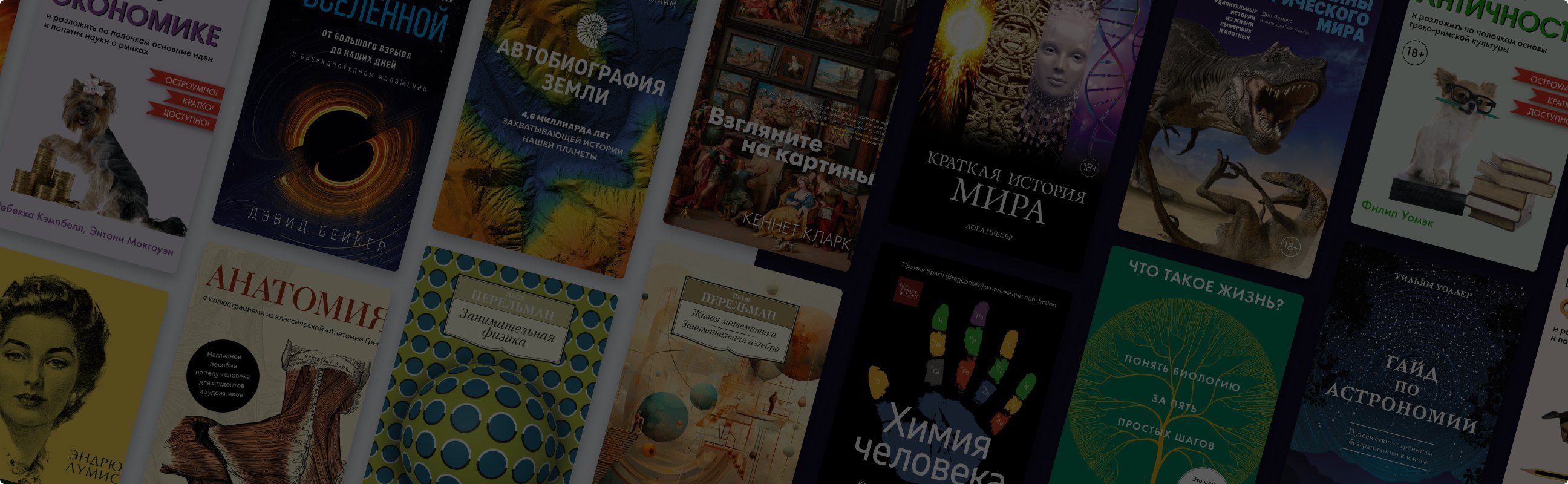 Новый год с новыми знаниями: 17 книг обо всём
