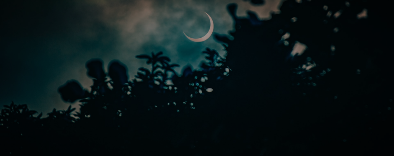 Кто такой Лунный рыцарь