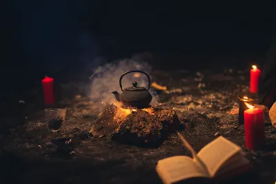 Приют на острове и лисья охота: 5 книг, где оживает волшебство