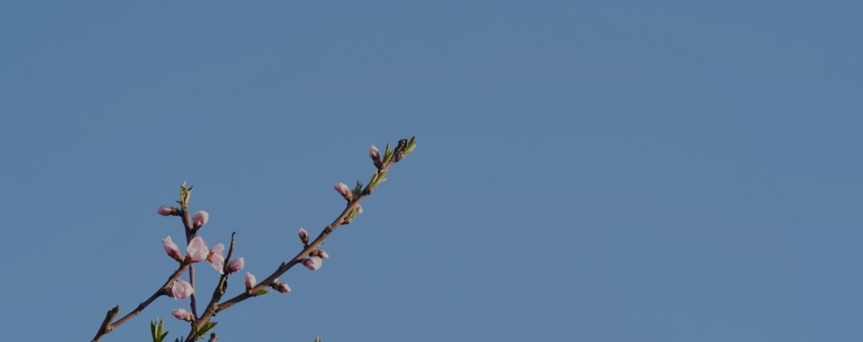 10 книг, помогающих жить