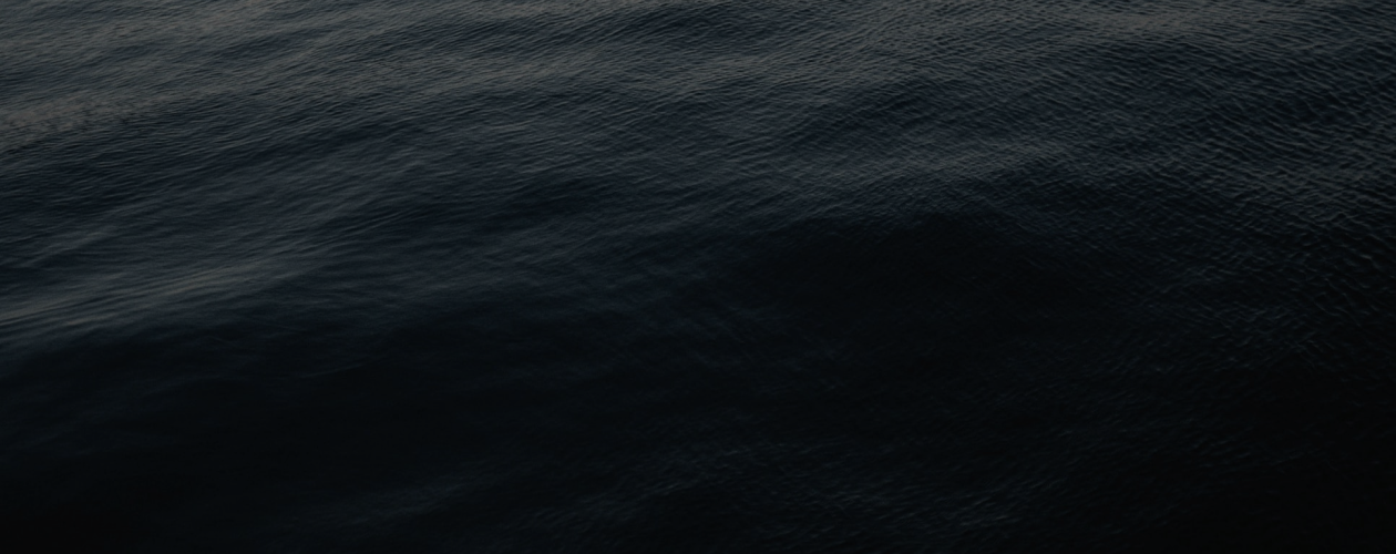 Новая книга Веры Полозковой