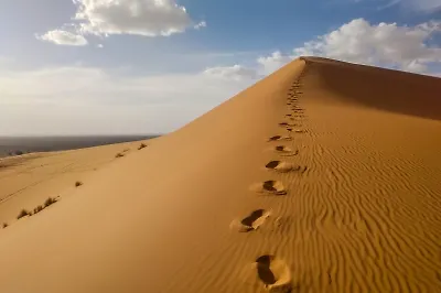 Дело тонкое: 5 книг о жизни на Востоке