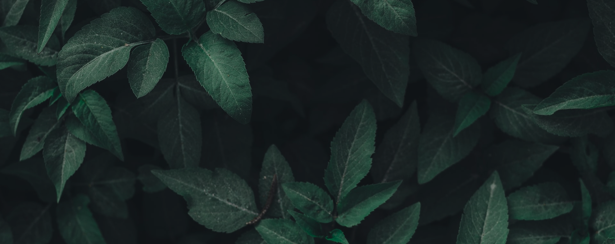 Zero waste и осознанное потребление: 11 книг об экологичном образе жизни