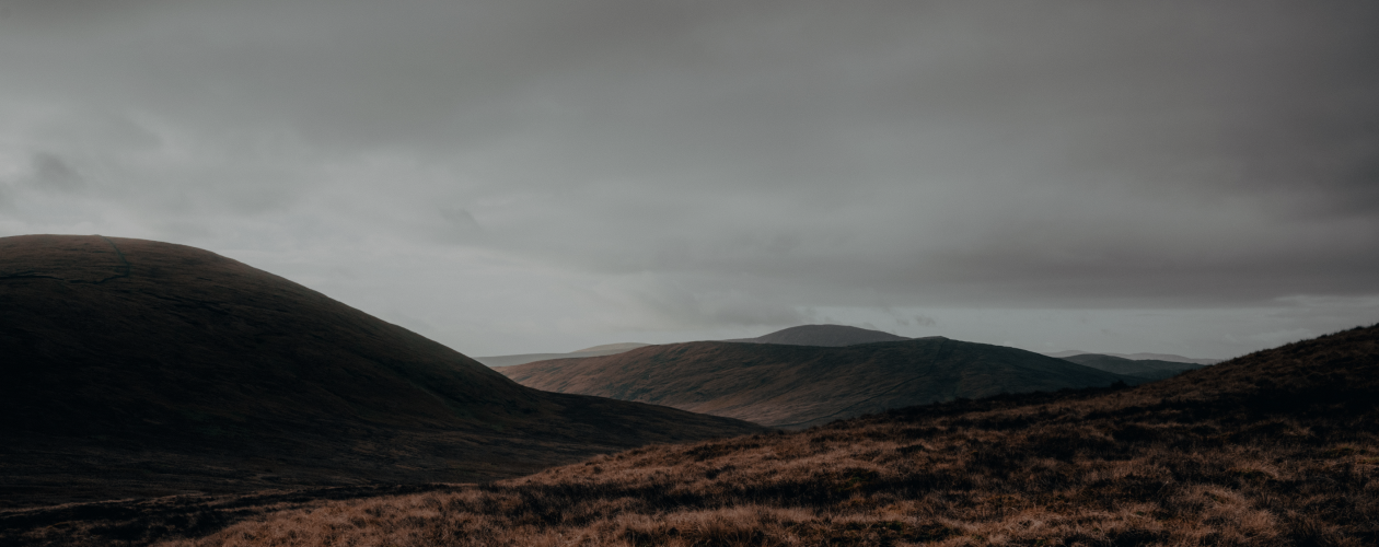 Ледяной убийца и дело о старой ферме: 7 новых детективов из Скандинавии