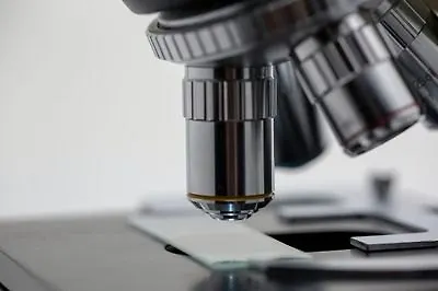 Доказано: 8 увлекательных научных книг, с которыми мир станет понятнее