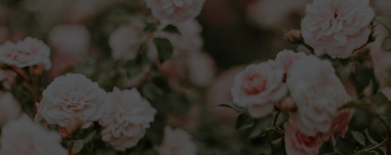 Из Канады с любовью: что почитать у Люси Монтгомери