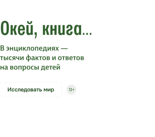 Окей, книга…