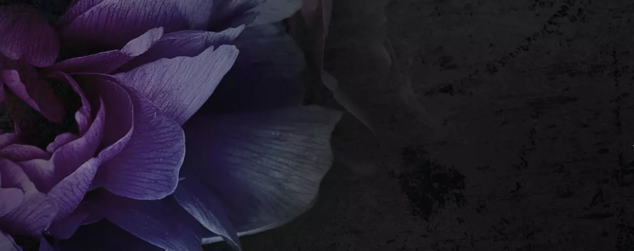 Прекрасные дьяволы