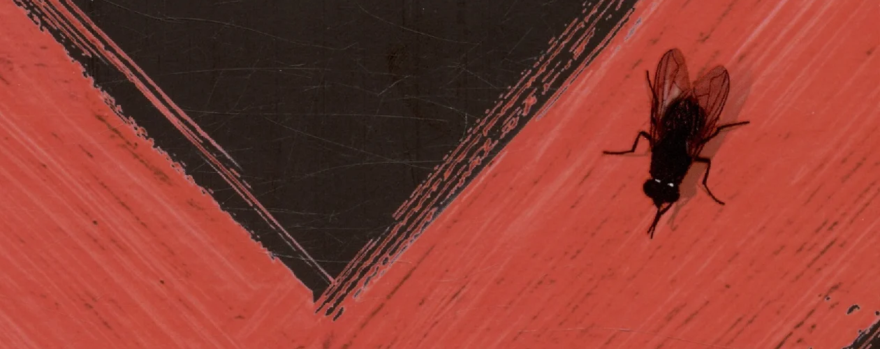 Содержание цикла Элена Бланко