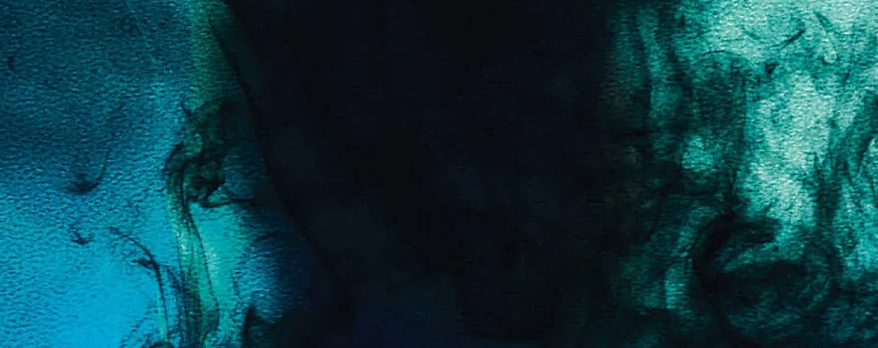 Содержание цикла Нина Геррера