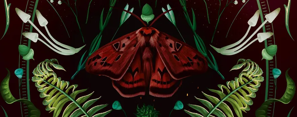 Содержание цикла Багровый мотылёк