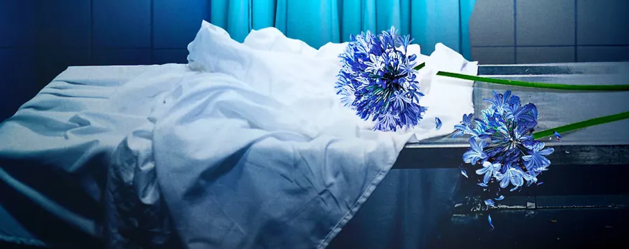 Содержание цикла Джейн Холл и Стили Ландер