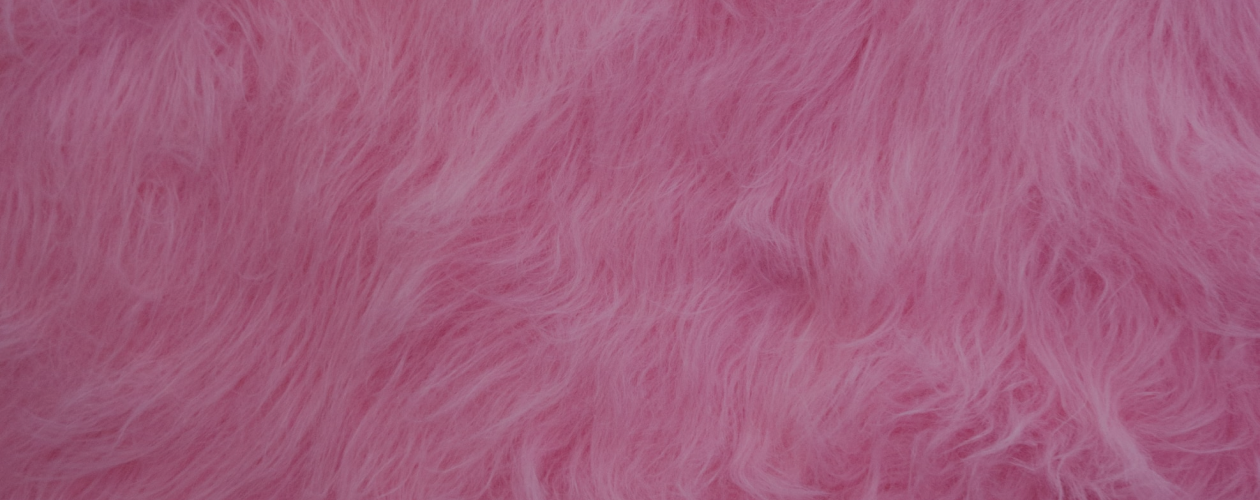 Ребятам о зверятах: 10 книг о животных