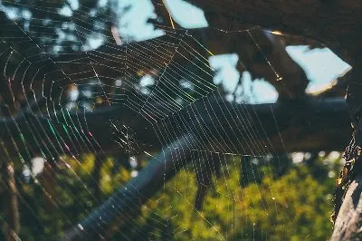 Добрые истории от Холли Вебб