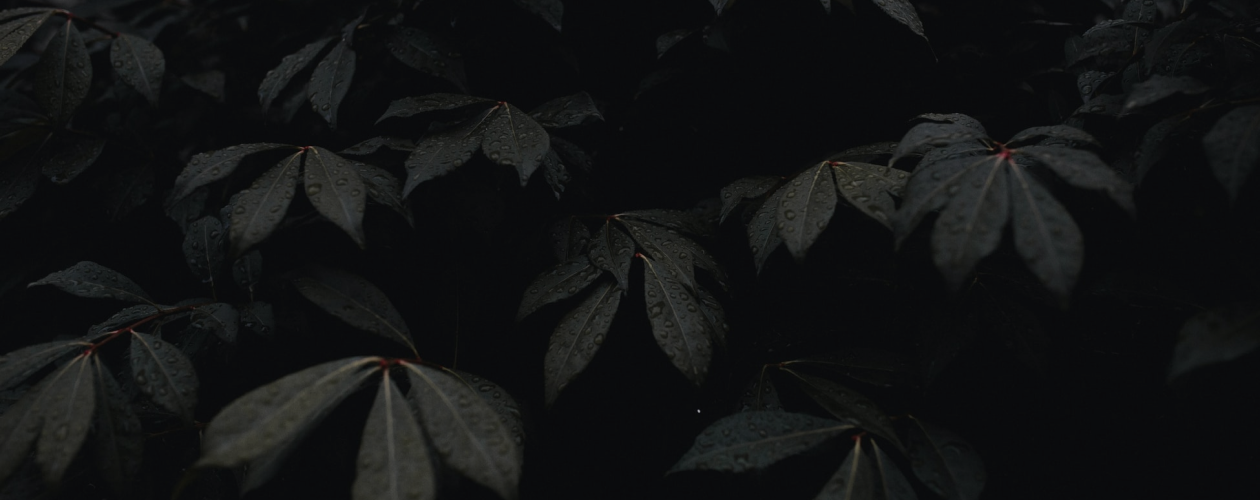 8 ярких семейных саг