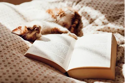 Всемирный день лени: 10 книг, с которыми не захочется выходить из дома