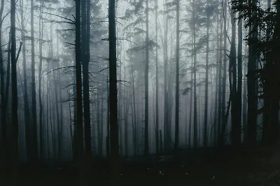 Потусторонние тайны: 10 мистических детективов и триллеров