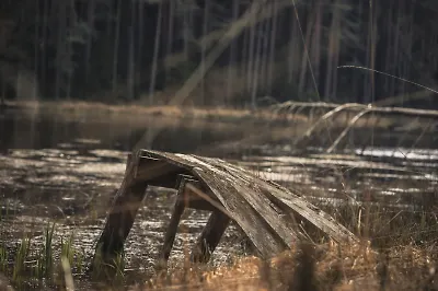 7 книг для тех, кому понравился сериал «Топи»