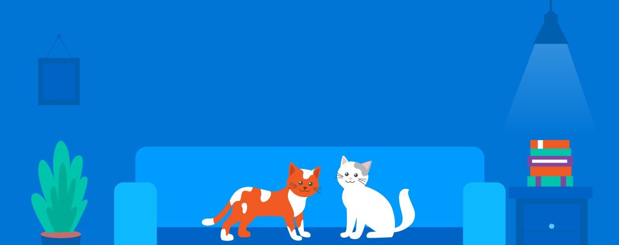 10 чудесных книг о котах и кошках