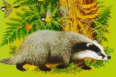 Книги о природе для детей