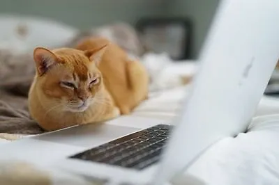 9 отличных мини-сериалов по книгам