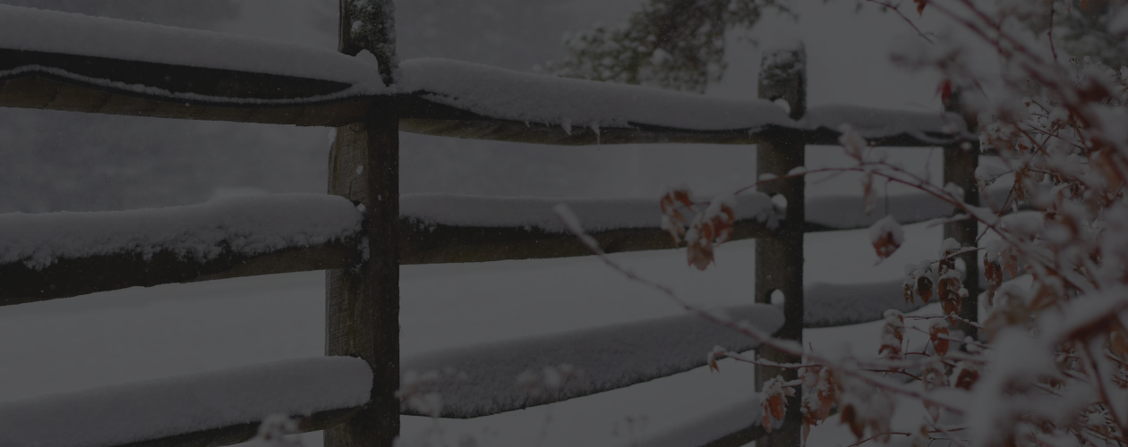 15 книг, в которых наступила зима