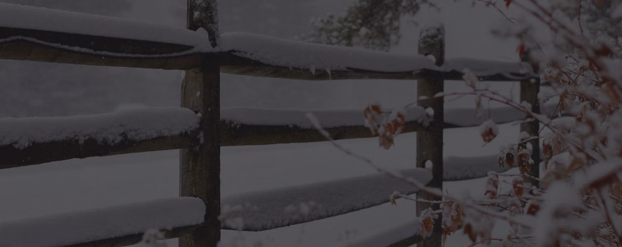 15 книг, в которых наступила зима