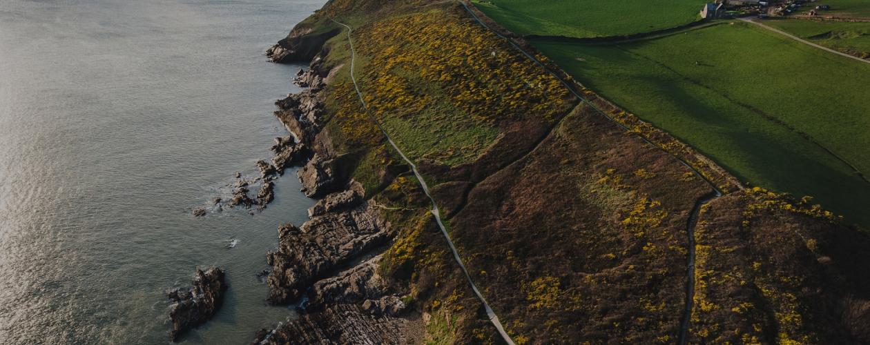Гордость, предубеждение и Англия: 7 книг в духе Джейн Остен