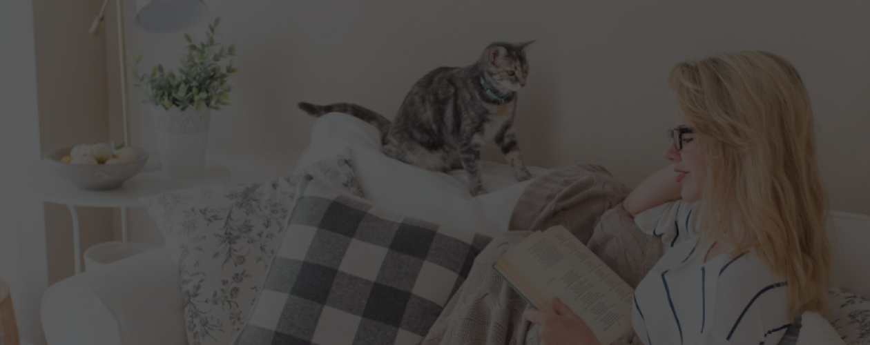 Как читать и что делать, если нет кота