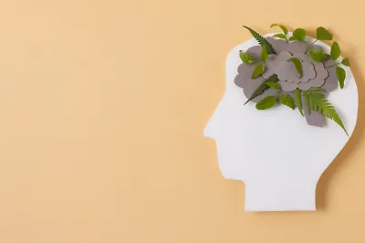 8 книг Илсе Санд, которые помогут вам разобраться в чувствах