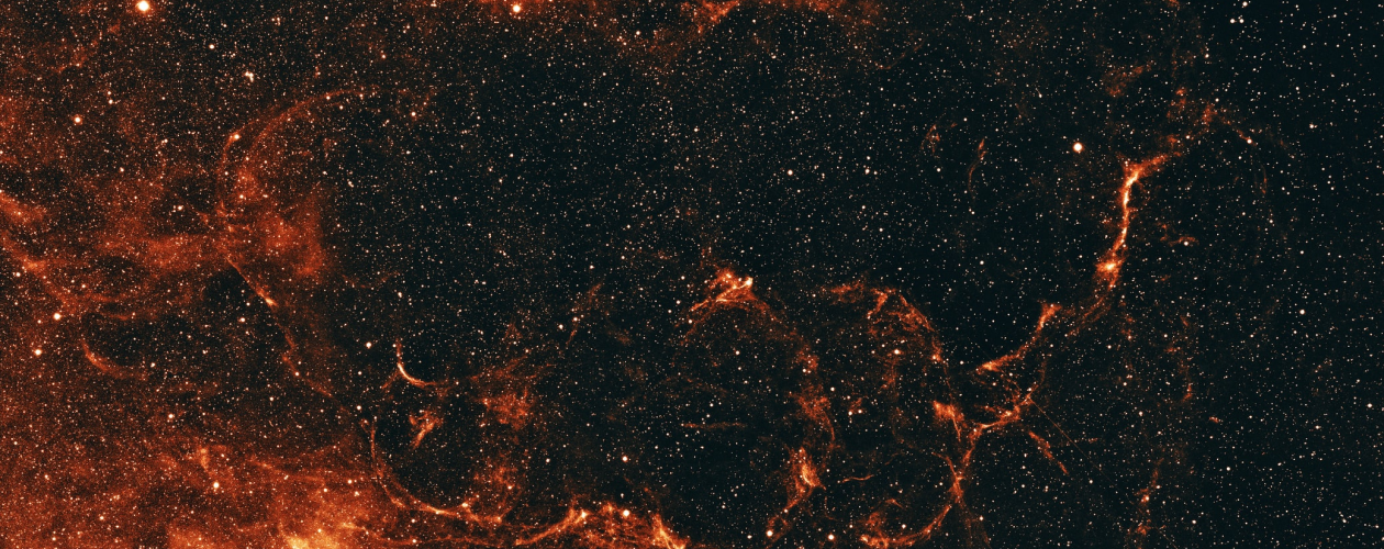 Стерильный рай, принудительное бессмертие и рыночный дарвинизм