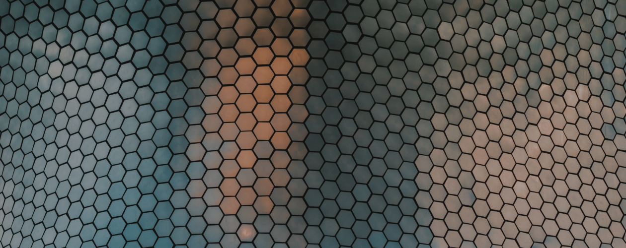 О чём роман «Человек с фасеточными глазами»