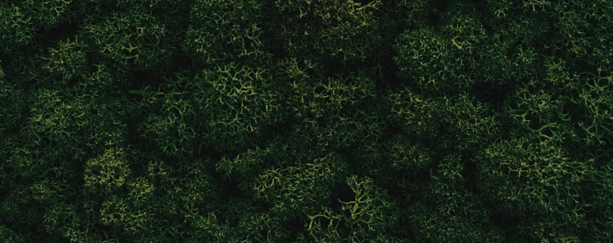 Как сортировать мусор и куда его сдавать