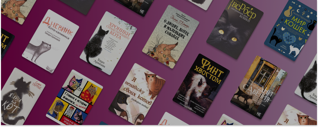 Откройте в себе котика!