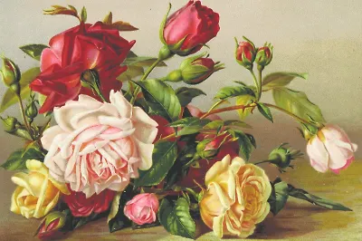 О чём книги Янины Логвин: любовь и прочие неприятности