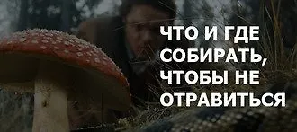По грибы да по ягоды